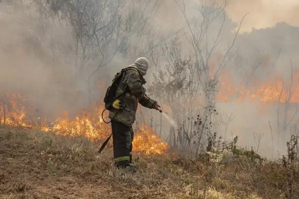 El Gobierno nacional decretó la emergencia ígnea por decreto en cuatro provincias