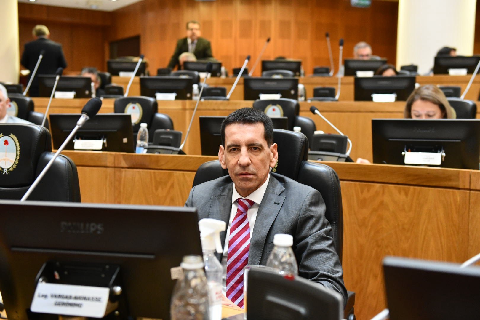 Vargas Aignasse presentó un polémico proyecto para regular el contenido digital