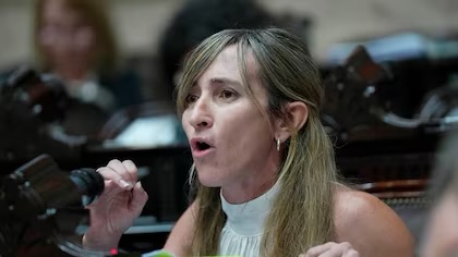 Una diputada libertaria presentó un proyecto para exigir un examen “psicotécnico” a quienes aspiran a altos cargos políticos