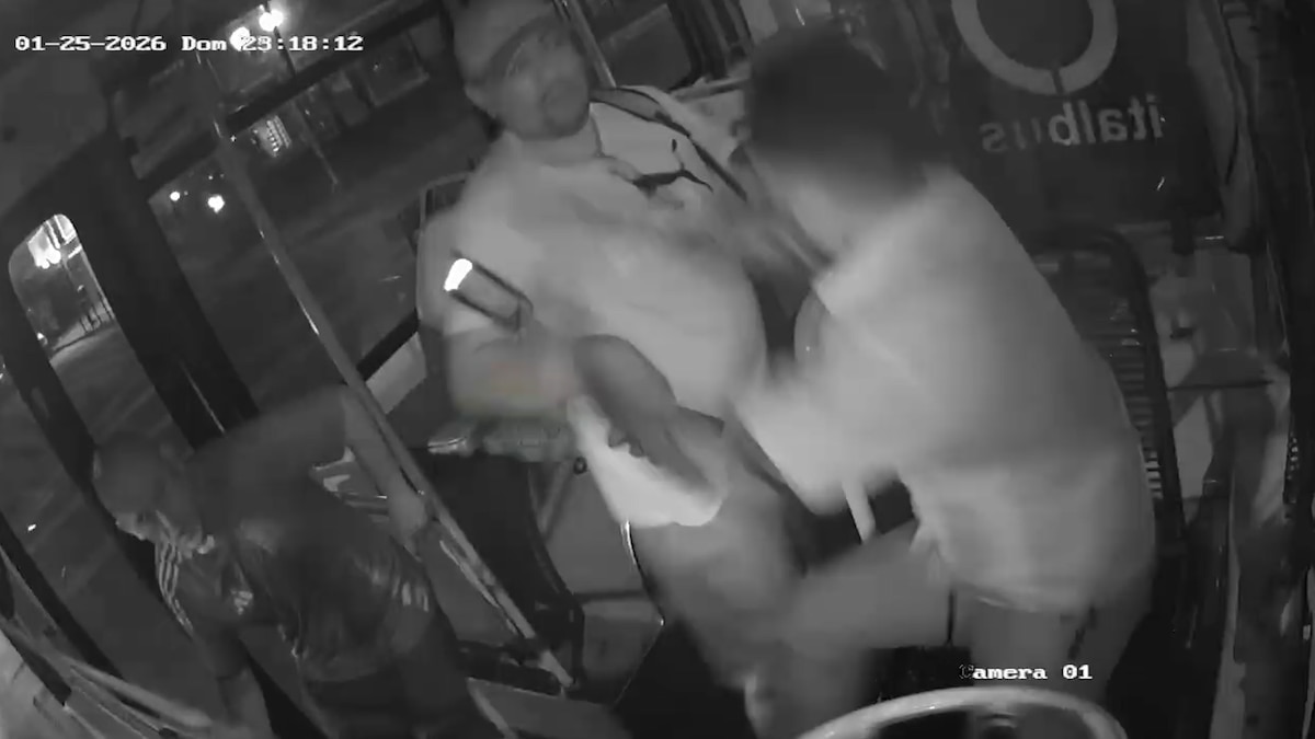 Violencia en un colectivo: un chofer dejó el volante para pelear con un pasajero y ambos fueron detenidos