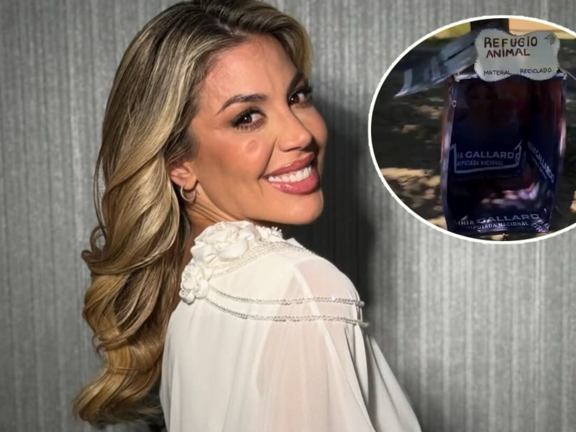 Virginia Gallardo recicló carteles de campaña para hacer refugios para perros callejeros