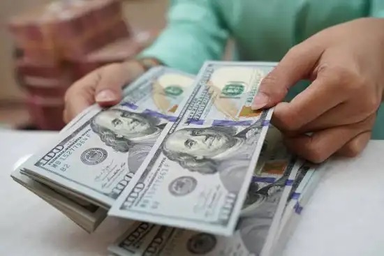 El Gobierno admitió que el dólar podría llegar a los $1.800, pero descartaron un salto cambiario brusco